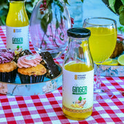Buy Ginger Appetizer Online – A Refreshing Drink for Digestion & Immunity