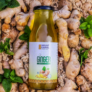Buy Himalayan Ginger Appetizer Online – A Perfect Blend of Taste & Wellness