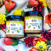 Buy Himalayan Plectranthus Honey Online – Rich in Flavor & Nutrients